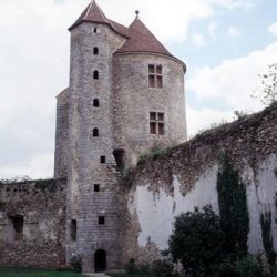 Château de Blandy les Tours (77)