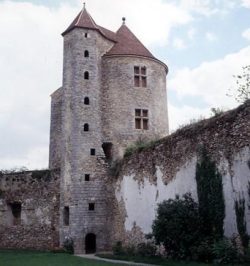 Château de Blandy les Tours (77)
