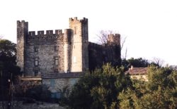 Château de Castelnau (30)