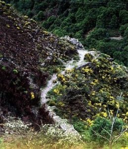 Chemins escarpés autour de Barre-des-Cévennes