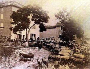 Foire de Barre des Cévennes