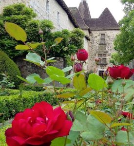 Musée Jeanne d'Albret - Vue des jardins