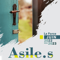 exposition-asiles-affiche
