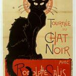 tournée-chat-noir