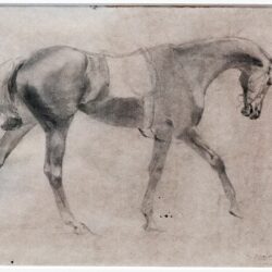 (Albi)_Cheval_de_selle_-_Edgar_Degas_-_Musée_d’Art_moderne_André_Malraux