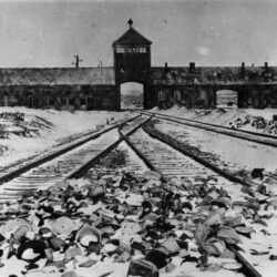 KZ Auschwitz, Einfahrt