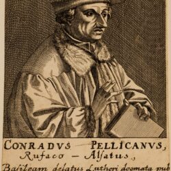 08. Portrait Pellican (Médiathèque protestante du Stift)-min