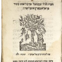 25. P16-1268 Tremellius, Le livre de léducation-min