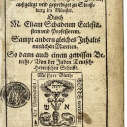31. 16-374 Schad, Mysterium-min